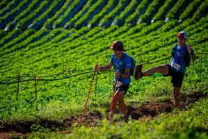 BIB: 
                            <button type="button" onclick="openModal(19160516)" class="btn btn-primary btn-sm float-right btn-popup" data-toggle="modal" data-target=".modal-high-quality">
                        <i class="fas fa-shopping-cart"></i> Add to Cart
                    </button>
                                            <button type="button" onclick="isThisMe(19160516, true)" class="btn btn-success btn-sm float-right btn-popup btn-isme hidden" data-toggle="tooltip" data-placement="bottom" title="นี่คือรูปของคุณใช่ไหม คลิกที่นี่เพื่อเอาเข้าอัลบั้ม">
                        <i class="fas fa-plus"></i> Add to album
                    </button>
                    <button type="button" onclick="isThisMe(19160516, false)" class="btn btn-warning btn-sm float-right btn-popup btn-isnotme hidden">
                        <i class="fas fa-ban"></i> Remove from album
                    </button>